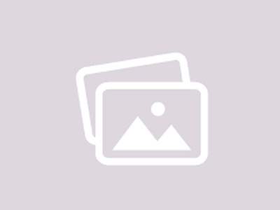 Giá bán bánh trung thu Daewoo 2026