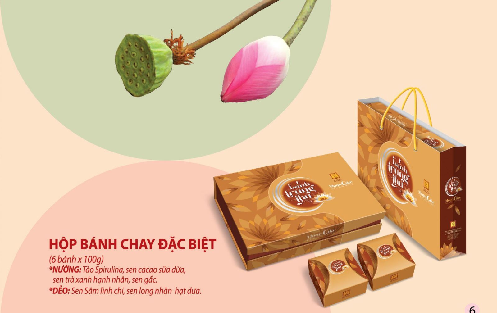 HỘP BÁNH CHAY ĐẶC BIỆT